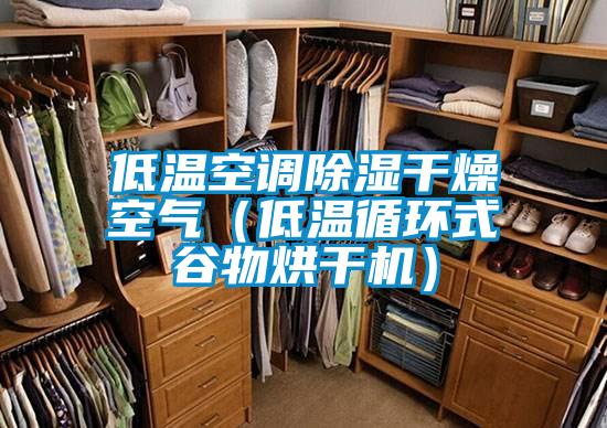 低溫空調(diào)除濕干燥空氣(低溫循環(huán)式谷物烘干機)