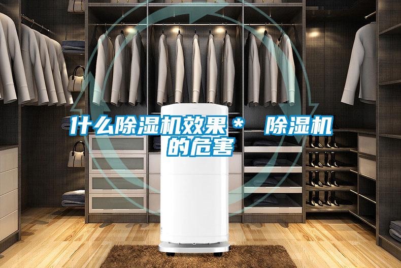 什么除濕機效果* 除濕機的危害