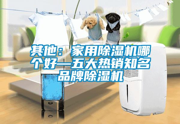 其他:家用除濕機哪個好—五大熱銷知名品牌除濕機