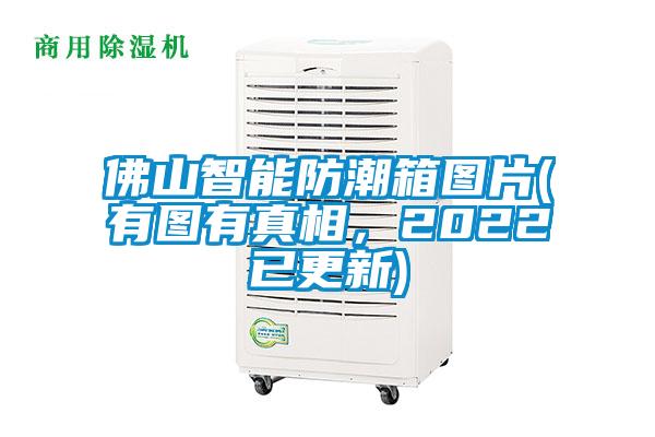 佛山智能防潮箱圖片(有圖有真相,2022已更新)