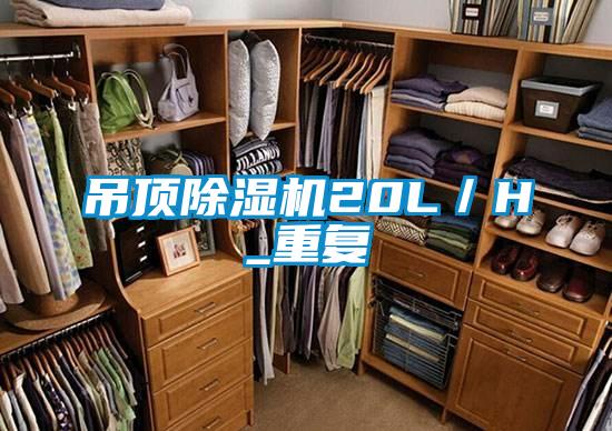 吊頂除濕機20L/H_重復