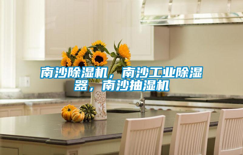 南沙除濕機，南沙工業除濕器，南沙抽濕機