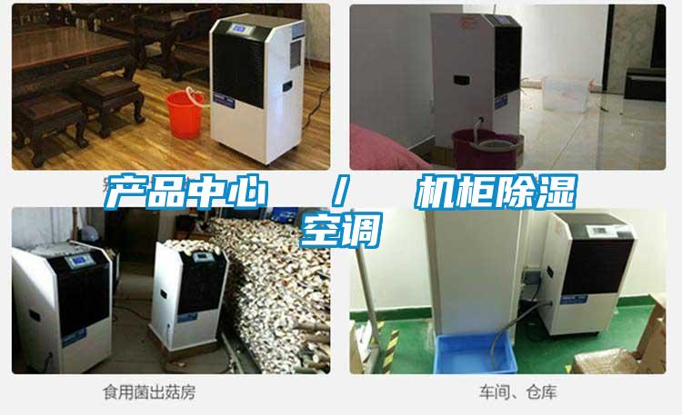 產(chǎn)品中心 / 機(jī)柜除濕空調(diào)