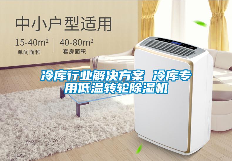 冷庫行業(yè)解決方案 冷庫專用低溫轉(zhuǎn)輪除濕機