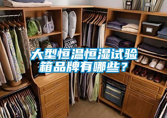 大型恒溫恒濕試驗箱品牌有哪些?