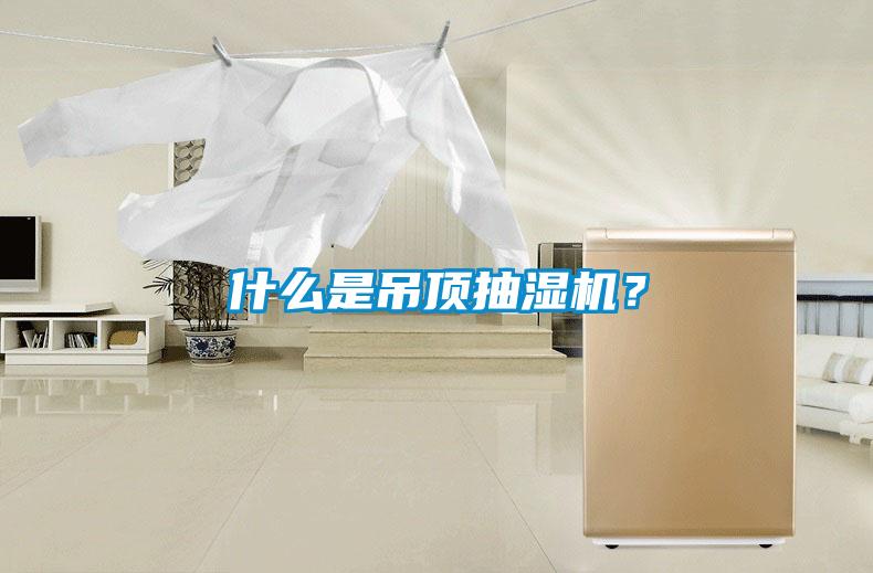 什么是吊頂抽濕機?