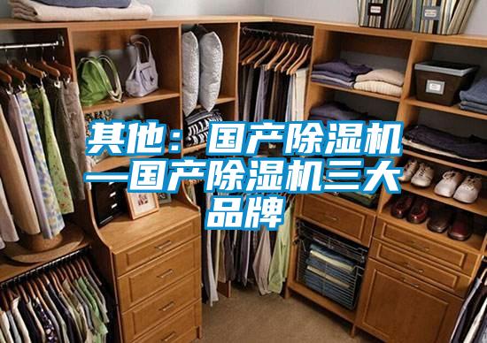 其他:國產除濕機—國產除濕機三大品牌