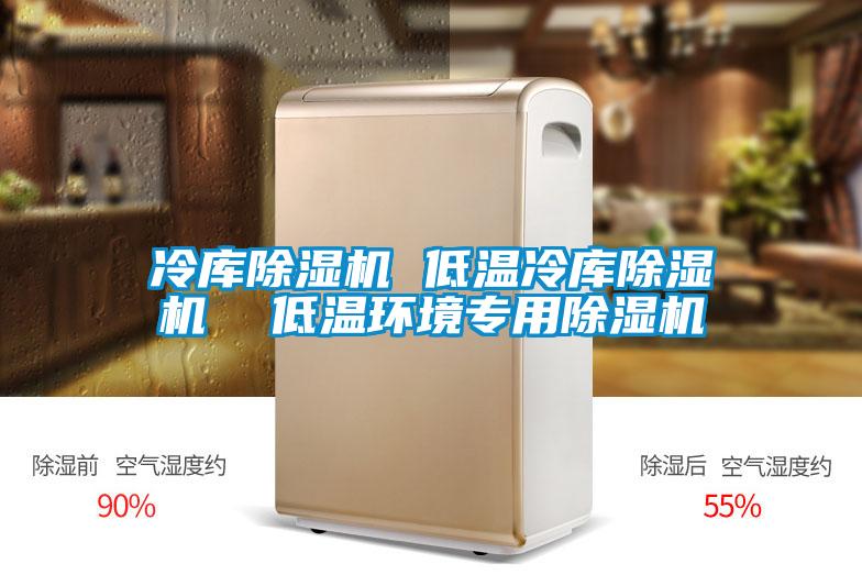 冷庫除濕機(jī) 低溫冷庫除濕機(jī) 低溫環(huán)境專用除濕機(jī)