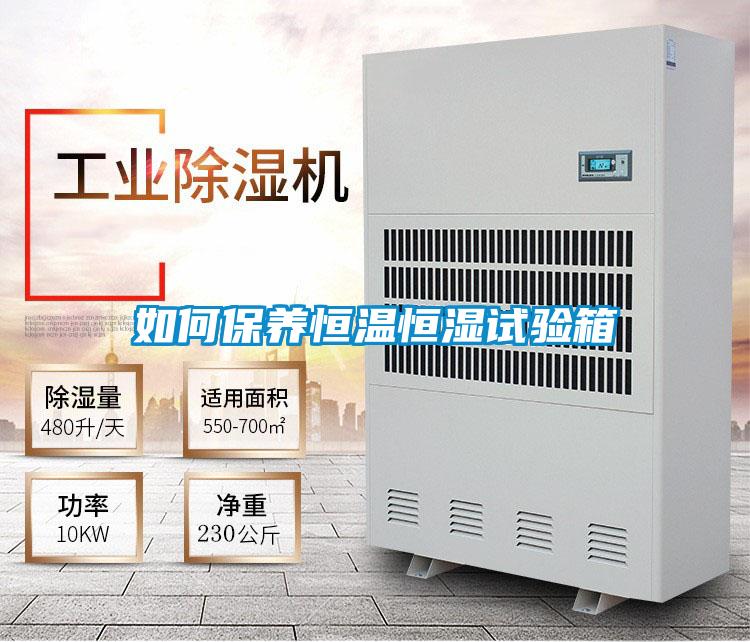 如何保養(yǎng)恒溫恒濕試驗箱