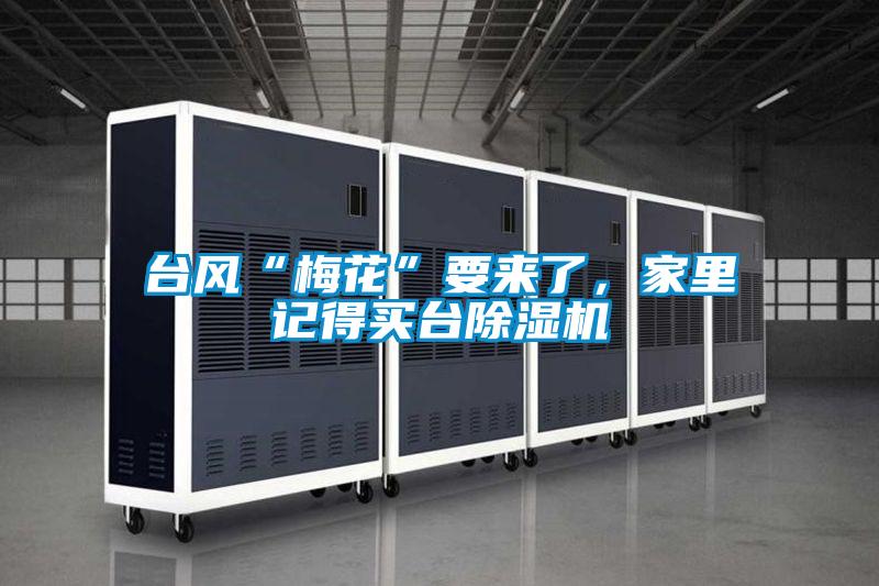 臺風“梅花”要來了,家里記得買臺除濕機