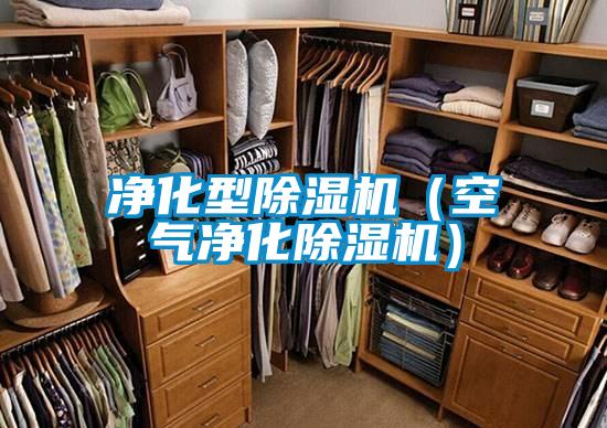 凈化型除濕機(jī)(空氣凈化除濕機(jī))
