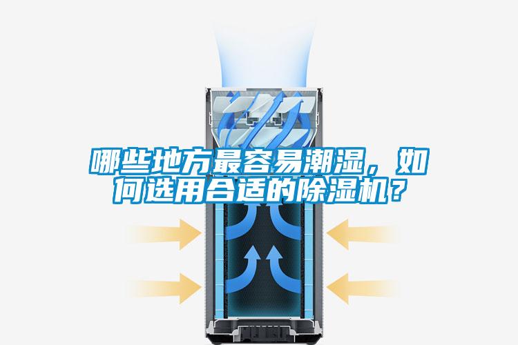 哪些地方最容易潮濕，如何選用合適的除濕機？
