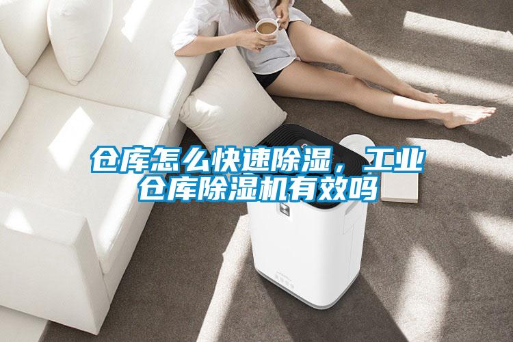 倉庫怎么快速除濕,工業(yè)倉庫除濕機(jī)有效嗎