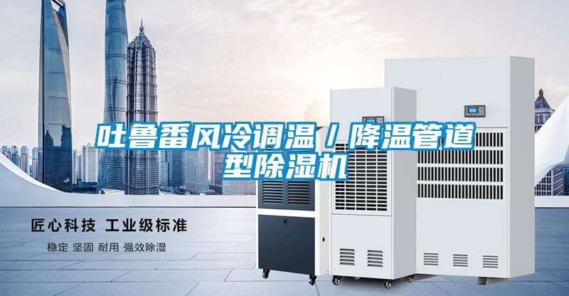 吐魯番風冷調溫/降溫管道型除濕機