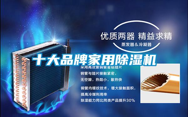 十大品牌家用除濕機
