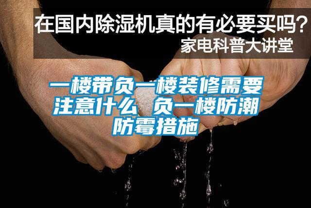 一樓帶負一樓裝修需要注意什么 負一樓防潮防霉措施