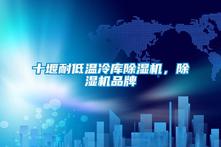 十堰耐低溫冷庫(kù)除濕機(jī)，除濕機(jī)品牌