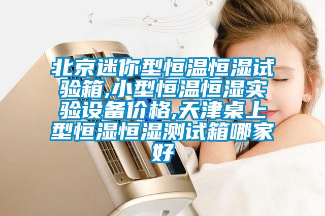 北京迷你型恒溫恒濕試驗箱,小型恒溫恒濕實驗設(shè)備價格,天津桌上型恒濕恒濕測試箱哪家好