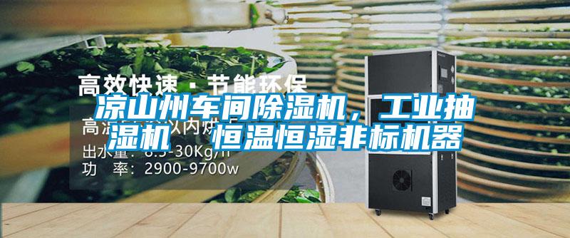涼山州車間除濕機,工業抽濕機 恒溫恒濕非標機器