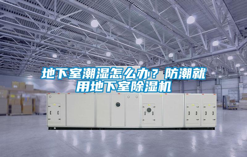 地下室潮濕怎么辦?防潮就用地下室除濕機
