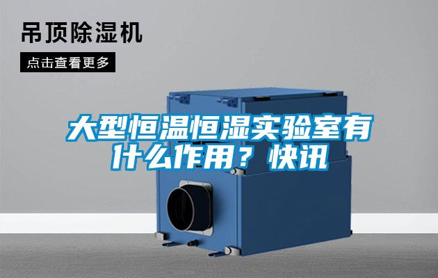 大型恒溫恒濕實驗室有什么作用?快訊