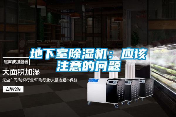 地下室除濕機:應該注意的問題