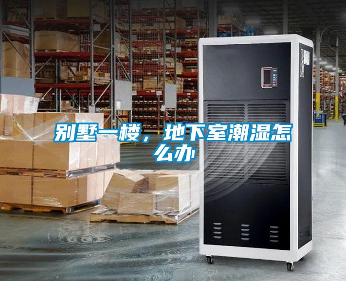 別墅一樓,地下室潮濕怎么辦