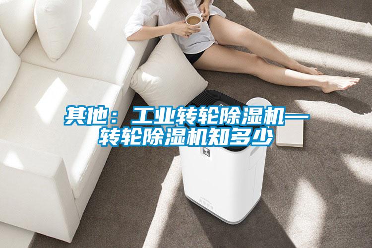 其他:工業(yè)轉輪除濕機—轉輪除濕機知多少