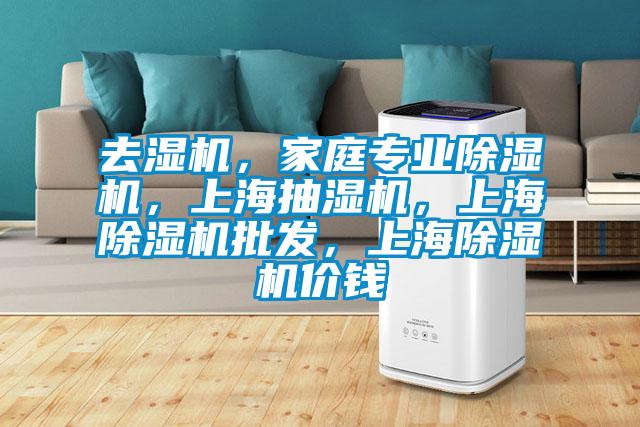 去濕機(jī),家庭專業(yè)除濕機(jī),上海抽濕機(jī),上海除濕機(jī)批發(fā),上海除濕機(jī)價錢