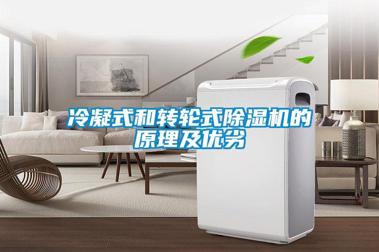 冷凝式和轉(zhuǎn)輪式除濕機的原理及優(yōu)劣