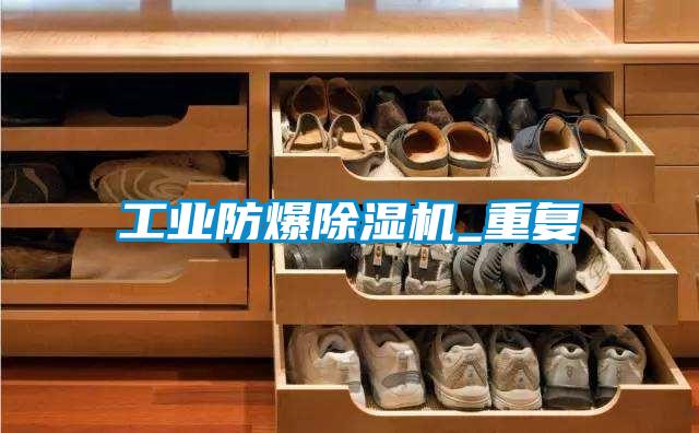 工業(yè)防爆除濕機(jī)_重復(fù)
