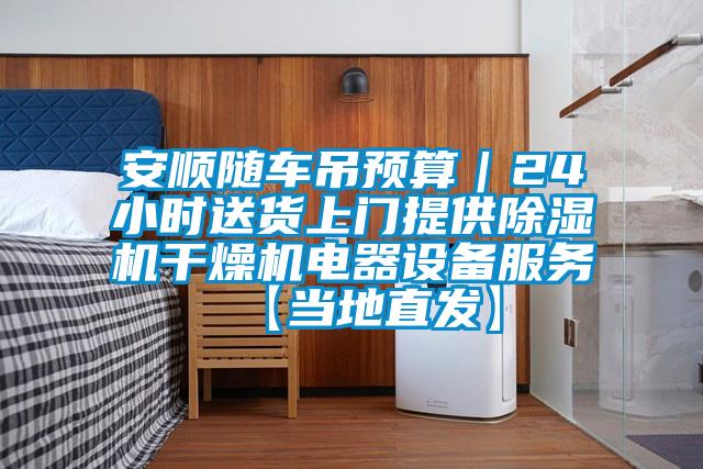 安順隨車吊預算|24小時送貨上門提供除濕機干燥機電器設備服務【當地直發】