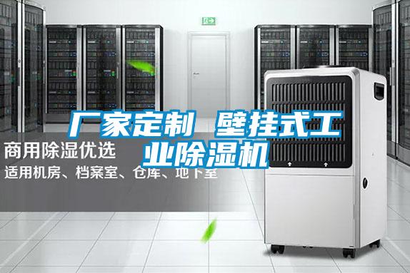 廠家定制 壁掛式工業(yè)除濕機(jī)