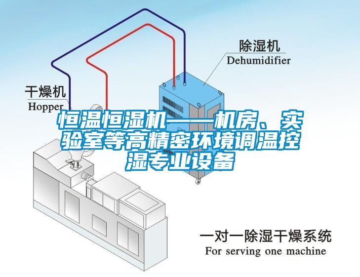 恒溫恒濕機——機房、實驗室等高精密環境調溫控濕專業設備