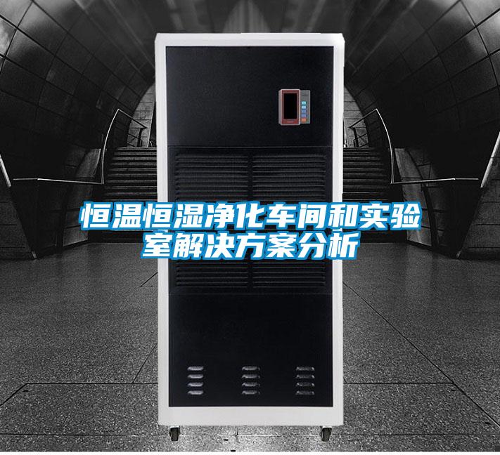 恒溫恒濕凈化車間和實驗室解決方案分析