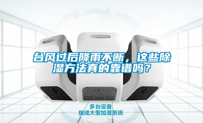 臺風過后降雨不斷,這些除濕方法真的靠譜嗎?