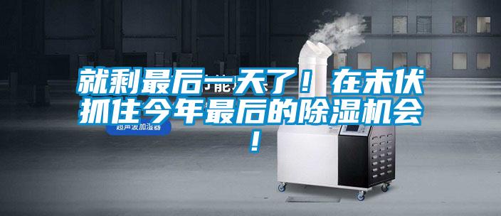 就剩最后一天了!在末伏抓住今年最后的除濕機會!