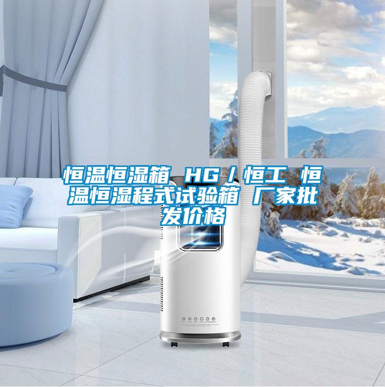 恒溫恒濕箱 HG/恒工 恒溫恒濕程式試驗(yàn)箱 廠家批發(fā)價(jià)格