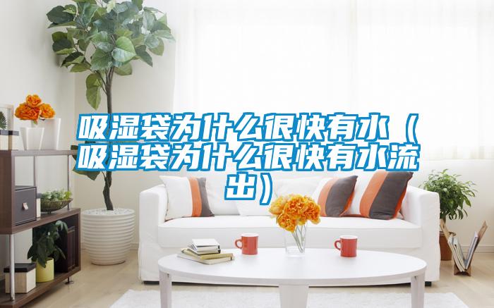 吸濕袋為什么很快有水(吸濕袋為什么很快有水流出)
