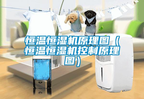 恒溫恒濕機原理圖(恒溫恒濕機控制原理圖)
