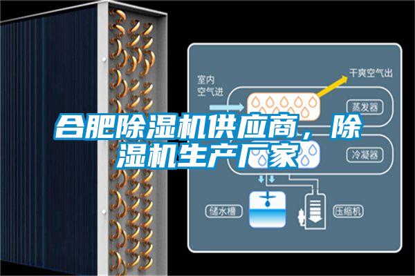 合肥除濕機(jī)供應(yīng)商,除濕機(jī)生產(chǎn)廠家