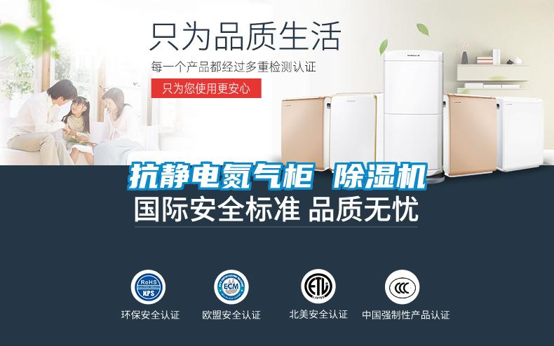 抗靜電氮氣柜 除濕機