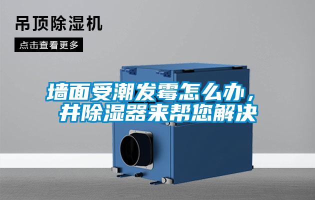 墻面受潮發霉怎么辦,東井除濕器來幫您解決