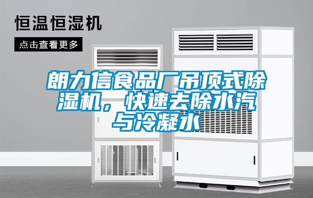 朗力信食品廠吊頂式除濕機,快速去除水汽與冷凝水