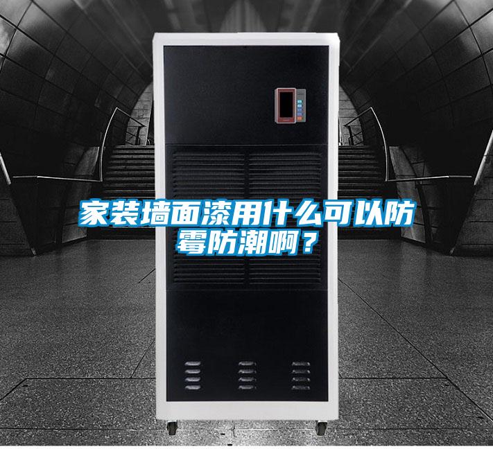 家裝墻面漆用什么可以防霉防潮啊?