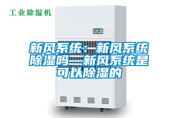 新風(fēng)系統(tǒng):新風(fēng)系統(tǒng)除濕嗎—新風(fēng)系統(tǒng)是可以除濕的