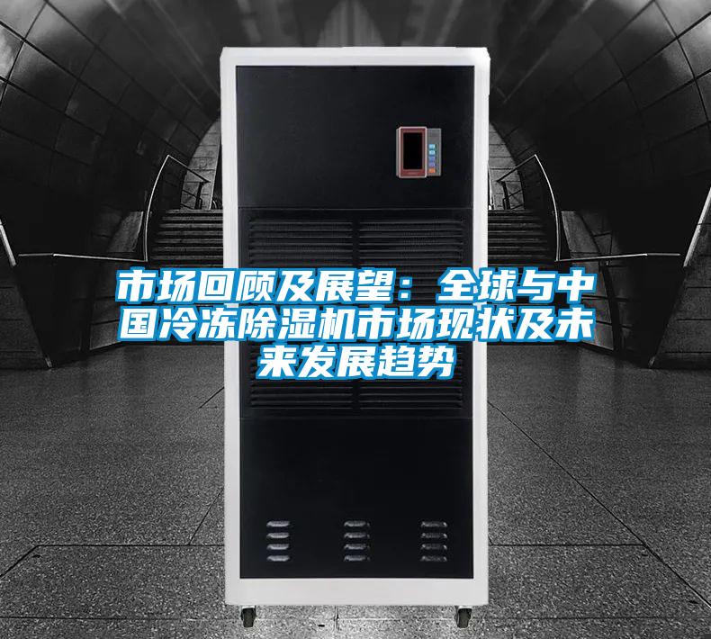 市場(chǎng)回顧及展望:全球與中國(guó)冷凍除濕機(jī)市場(chǎng)現(xiàn)狀及未來(lái)發(fā)展趨勢(shì)