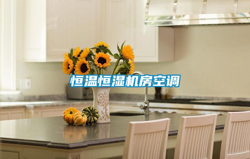 恒溫恒濕機房空調