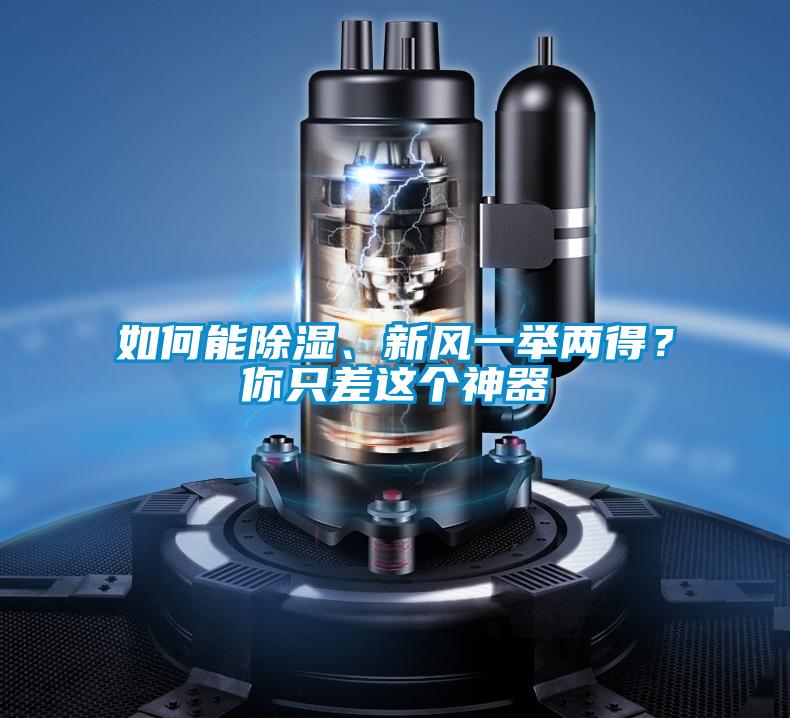 如何能除濕、新風一舉兩得?你只差這個神器