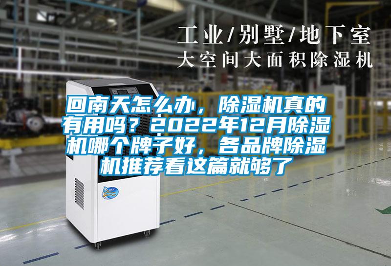 回南天怎么辦,除濕機真的有用嗎?2022年12月除濕機哪個牌子好,各品牌除濕機推薦看這篇就夠了